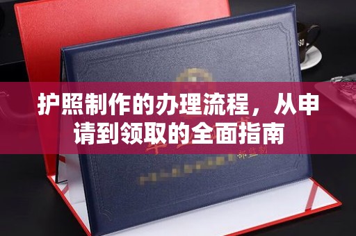 平南护照制作的办理流程，从申请到领取的全面指南